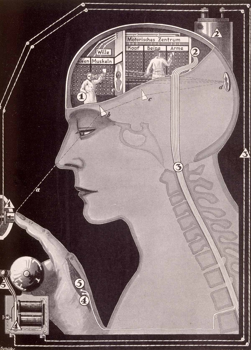 Illustration for article titled Fritz Kahn's Whimsical Infographics Turn People Into Contraptions